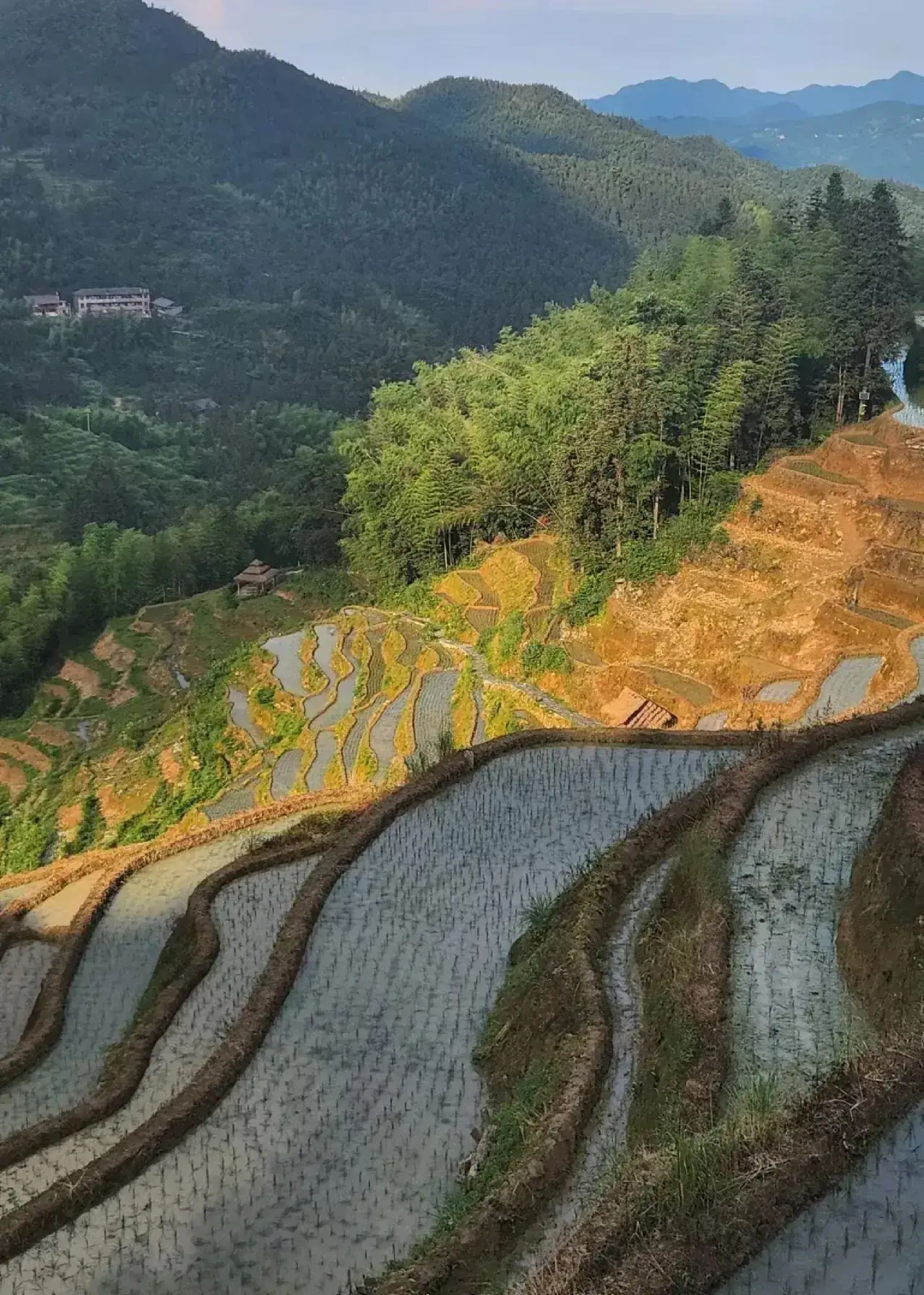 紫鹊界梯田景区旅行图片 1