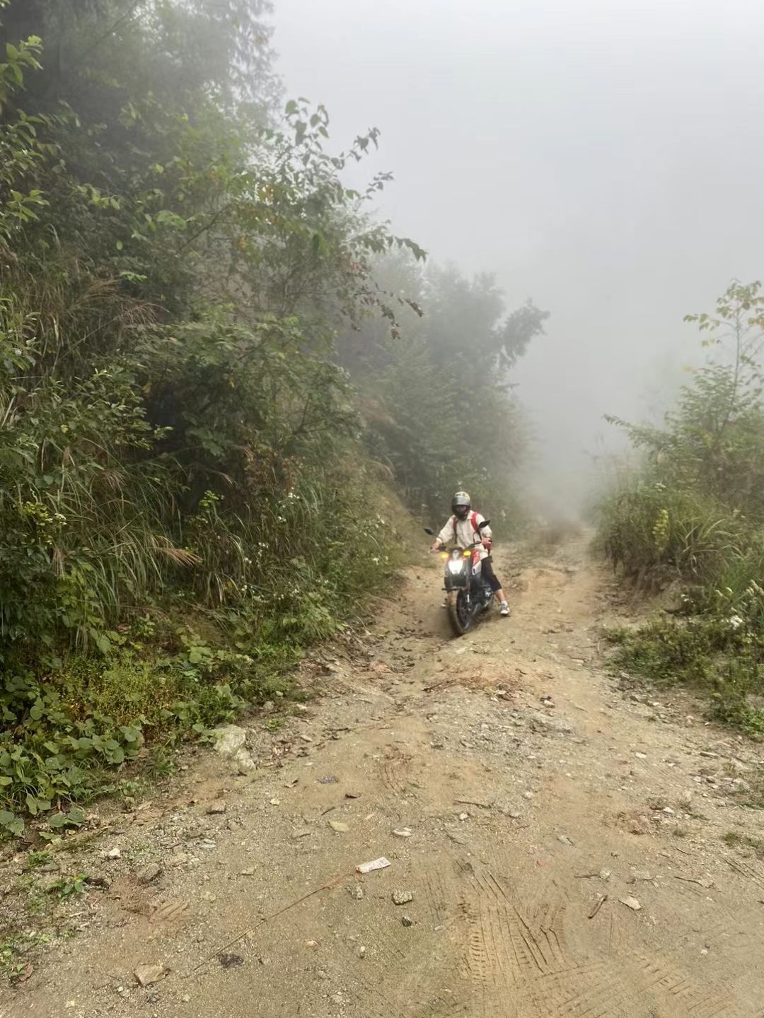 紫鹊界梯田景区旅行图片 2