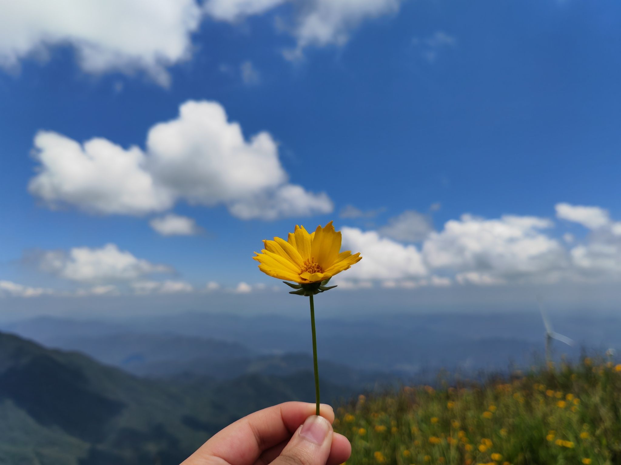 大熊山国家森林公园旅行图片 3