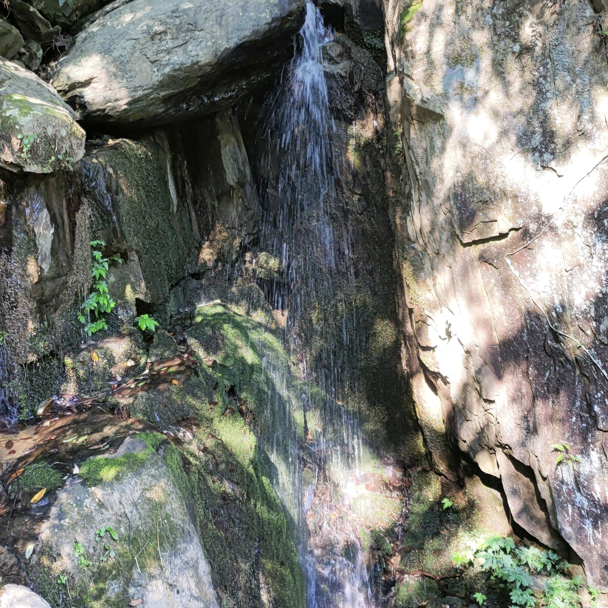 大熊山国家森林公园旅行图片 1