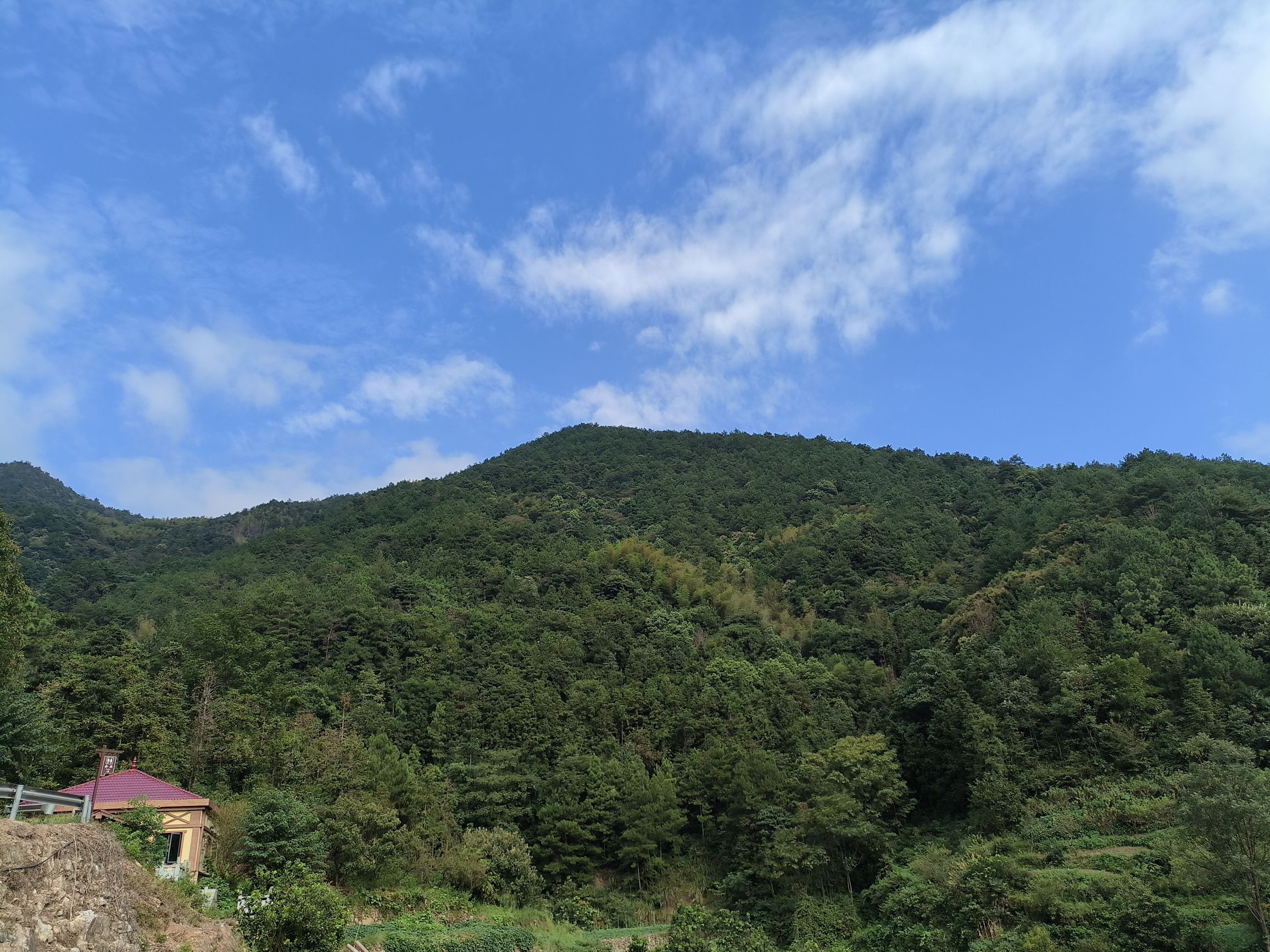 洪家山森林公园旅行图片 2