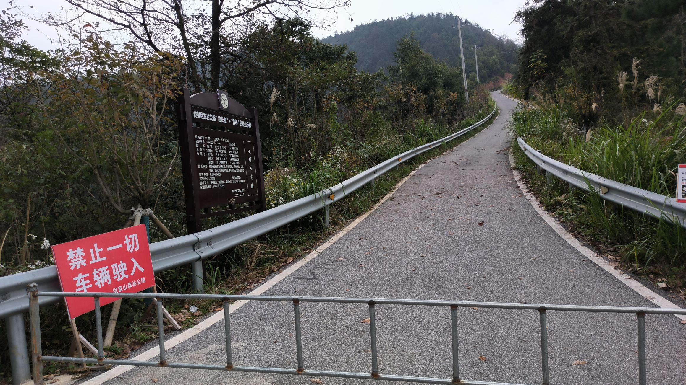 洪家山森林公园旅行图片 2