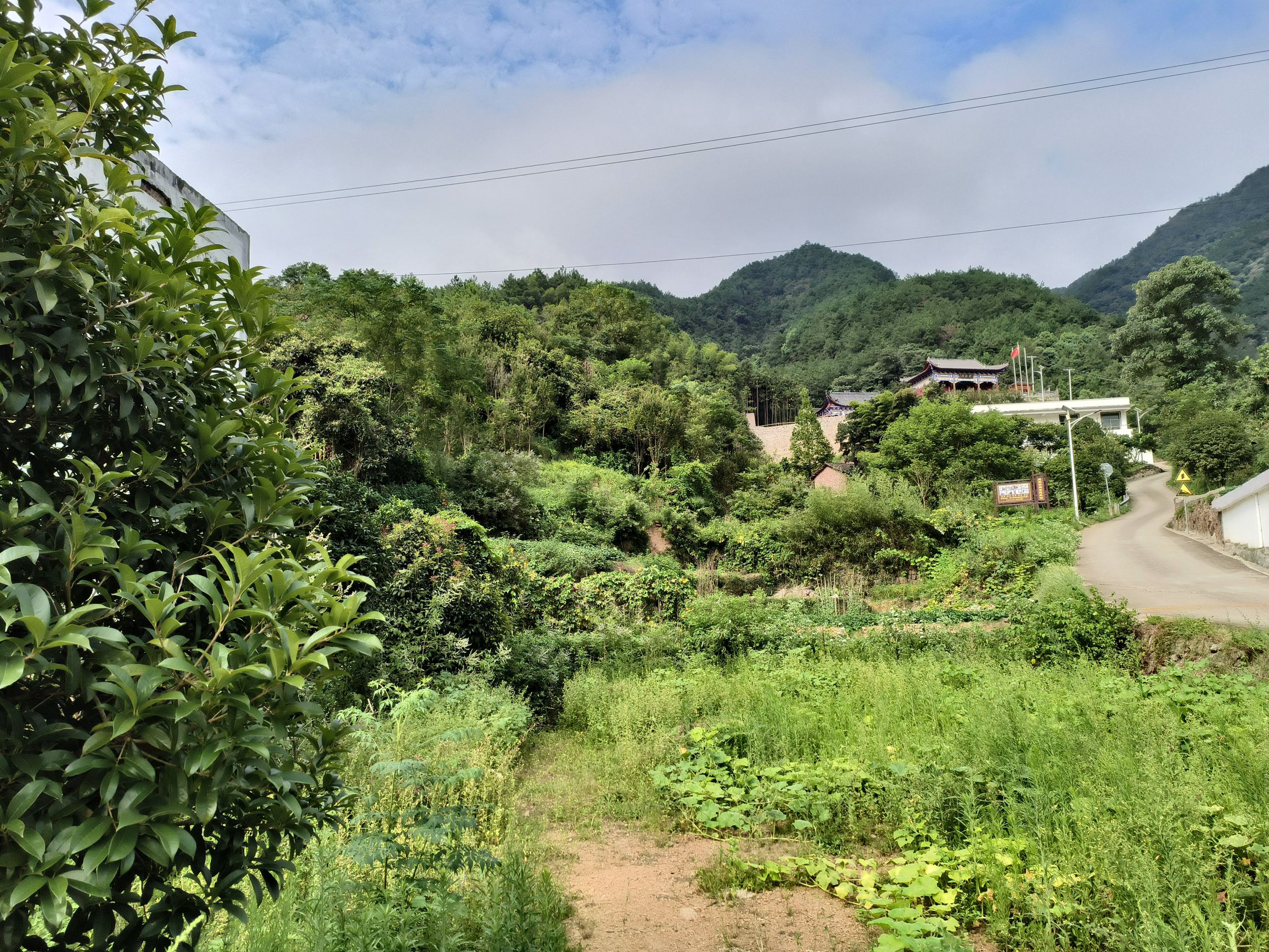 洪家山森林公园旅行图片 1