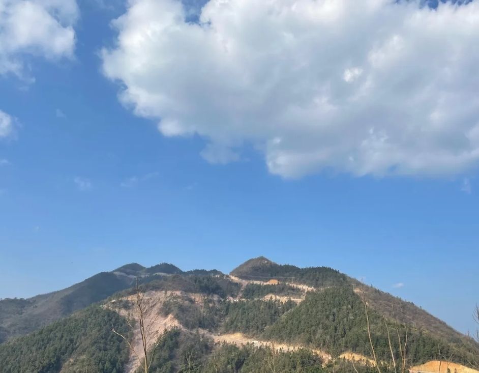 洪家山森林公园旅行图片 1