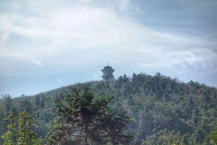 洪家山森林公园旅行图片 3
