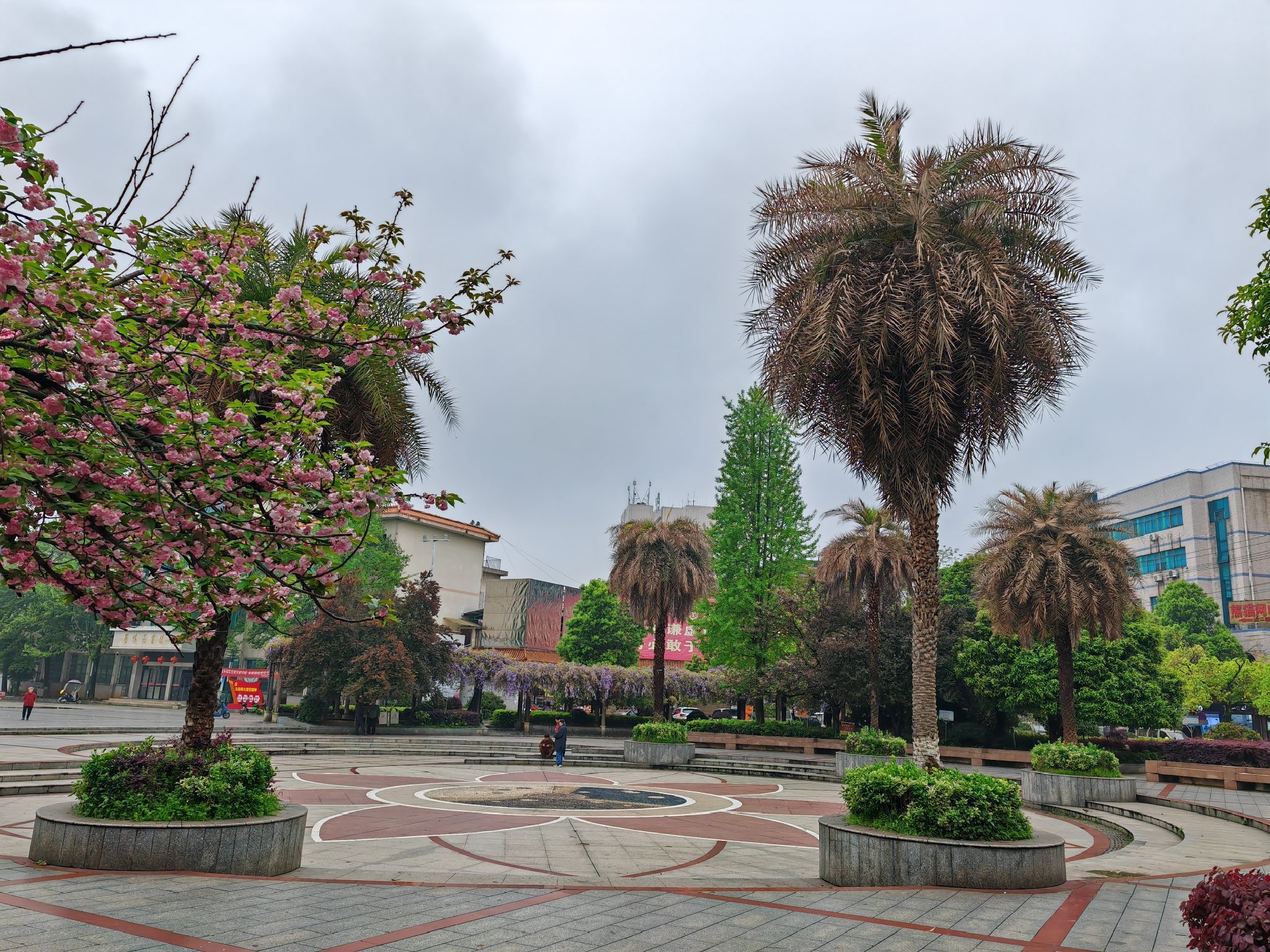 女杰广场旅行图片 3