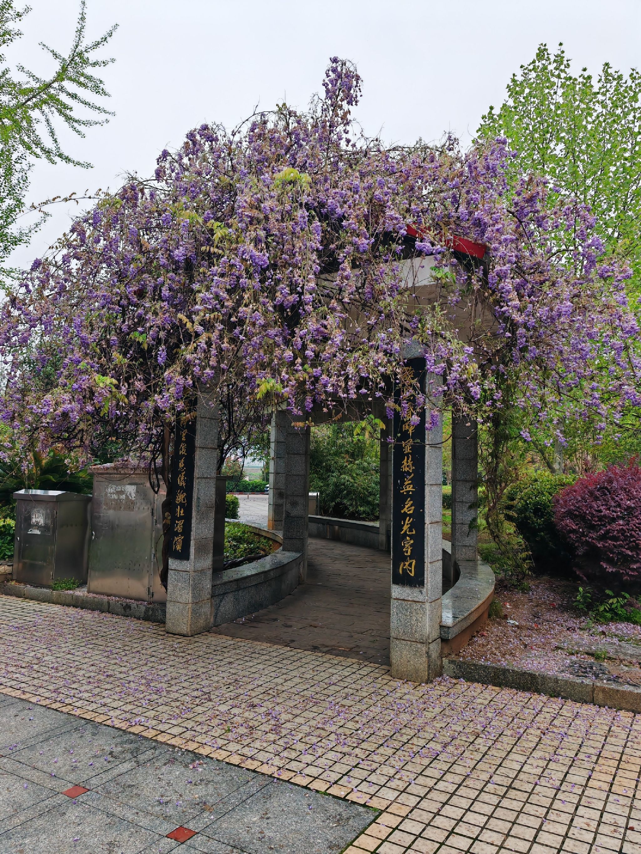 女杰广场旅行图片 2