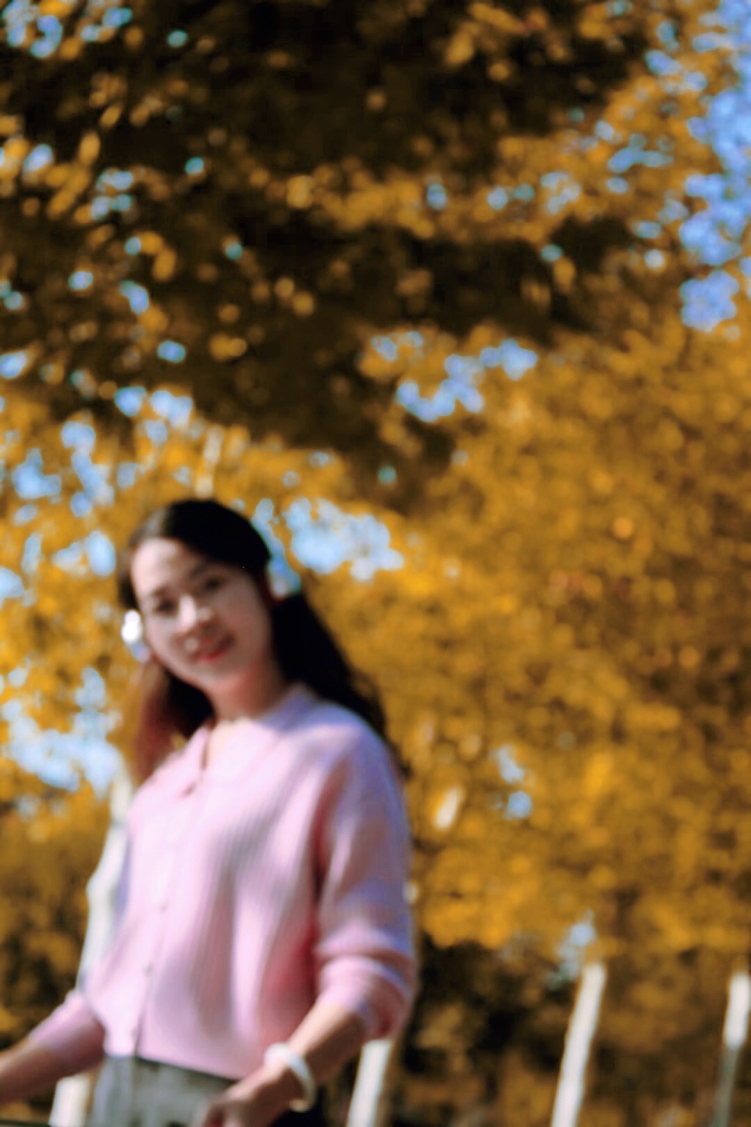 孙水公园旅行图片 3