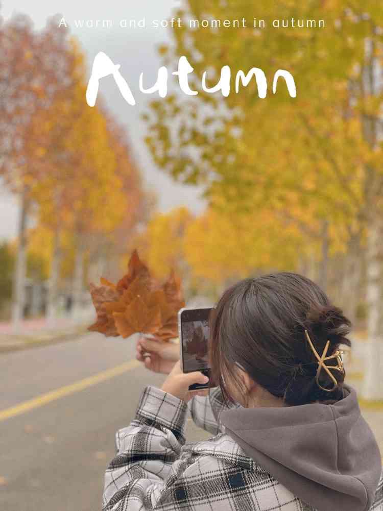 孙水公园旅行图片 1