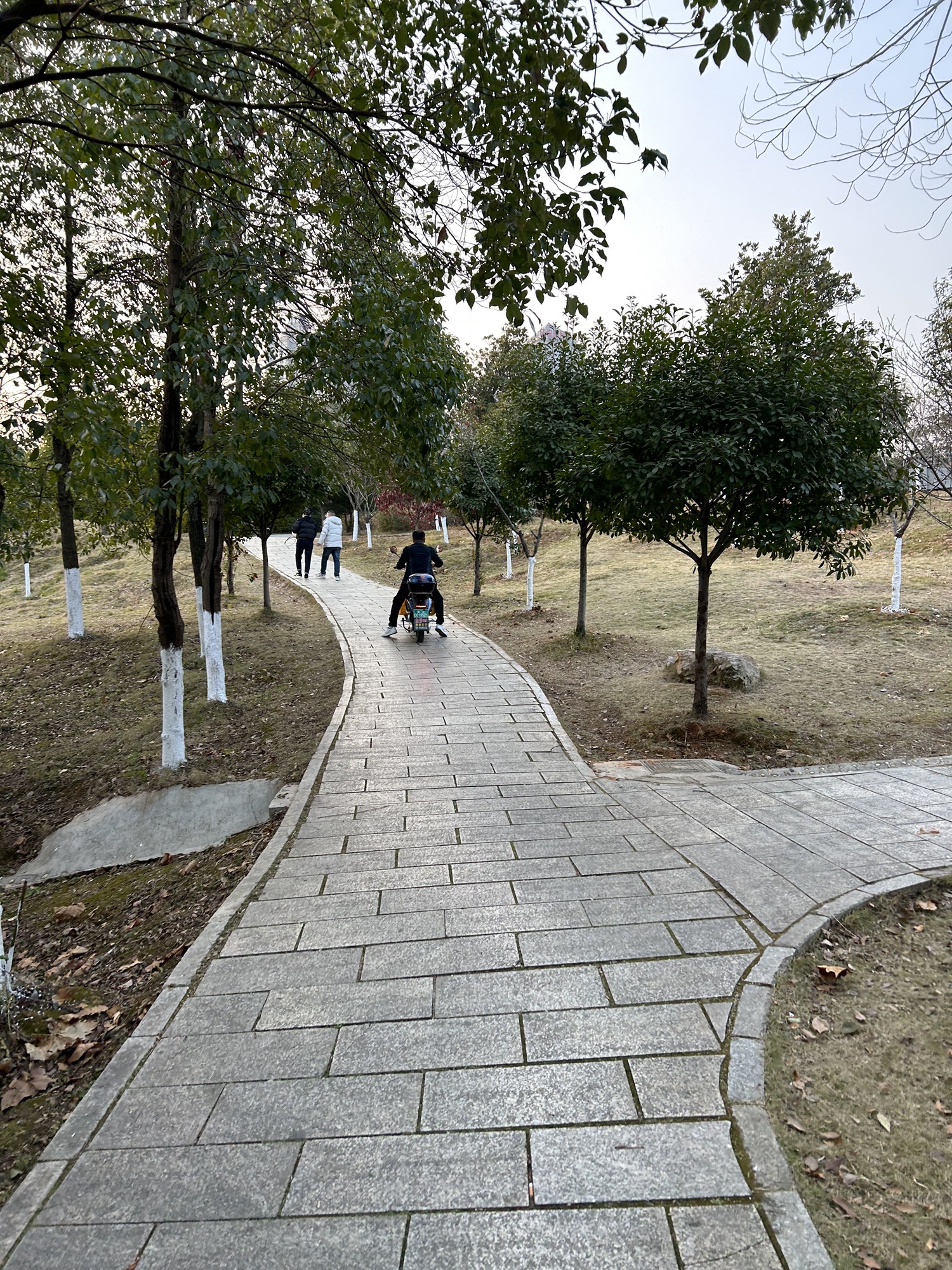 孙水公园旅行图片 3