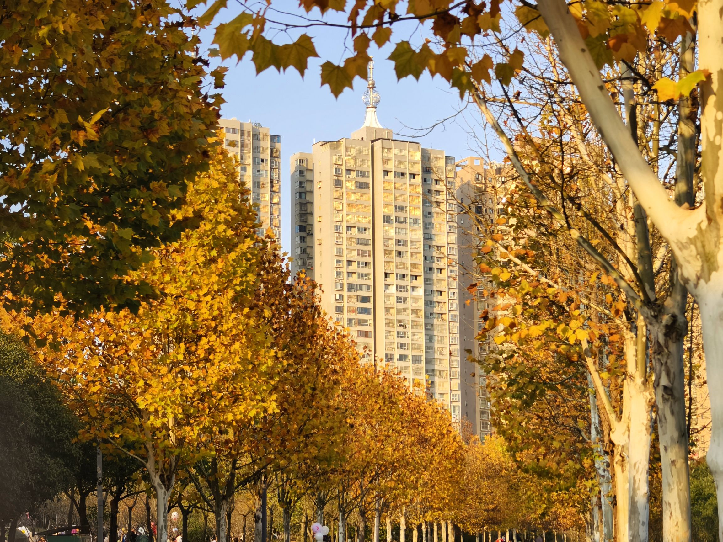 孙水公园旅行图片 1