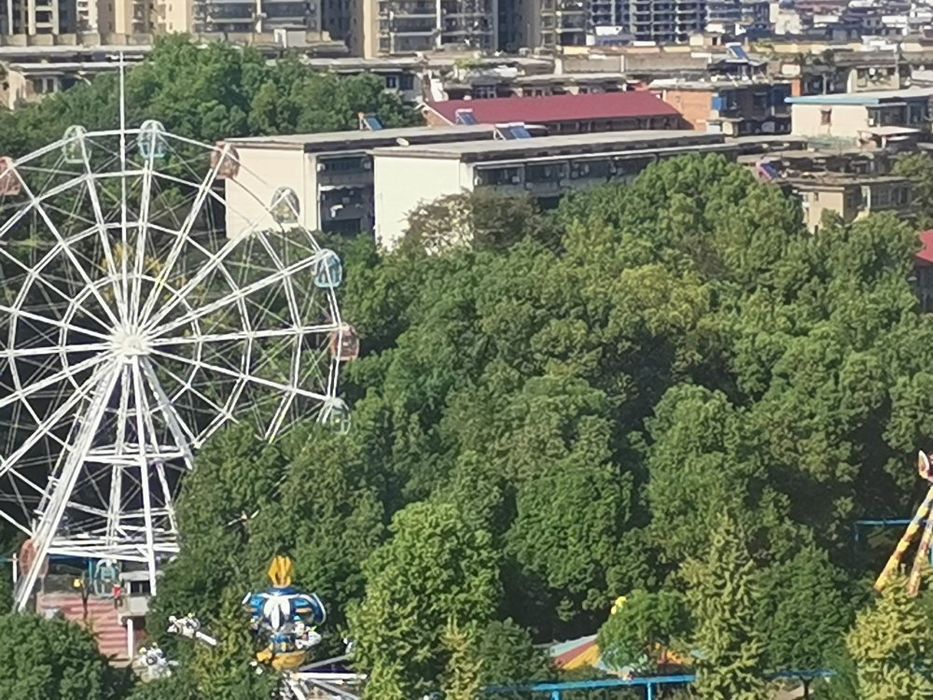 城南公园旅行图片 2