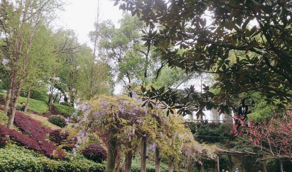 城南公园旅行图片 3