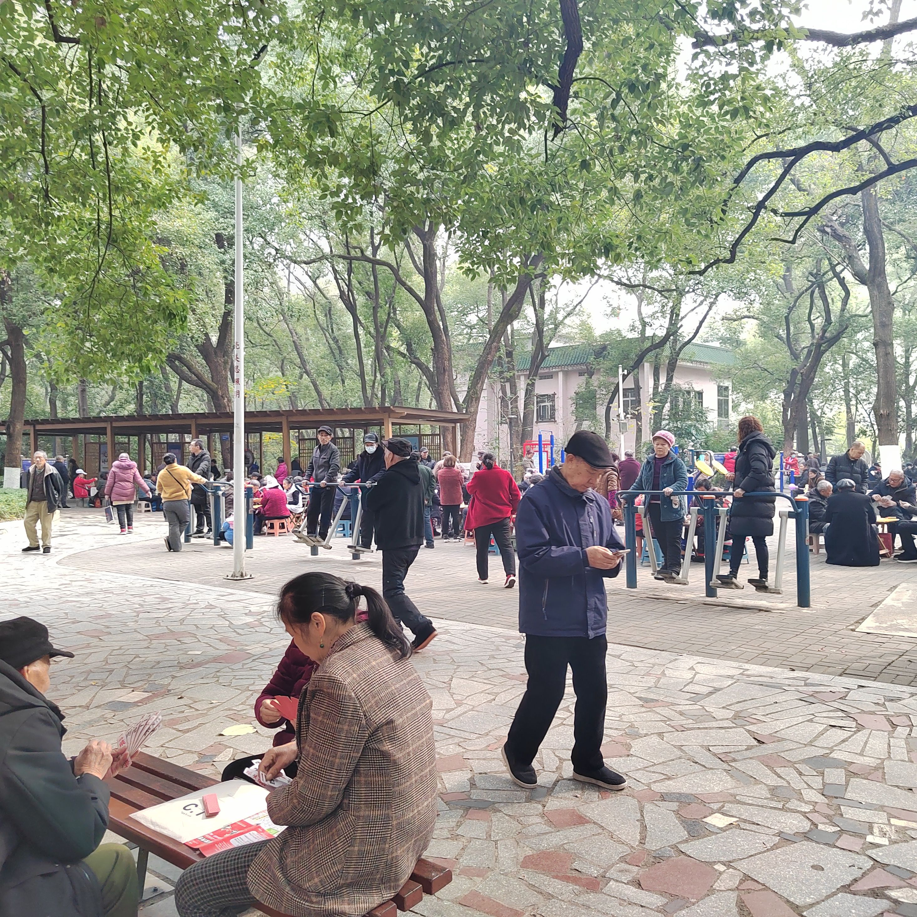 城南公园旅行图片 2