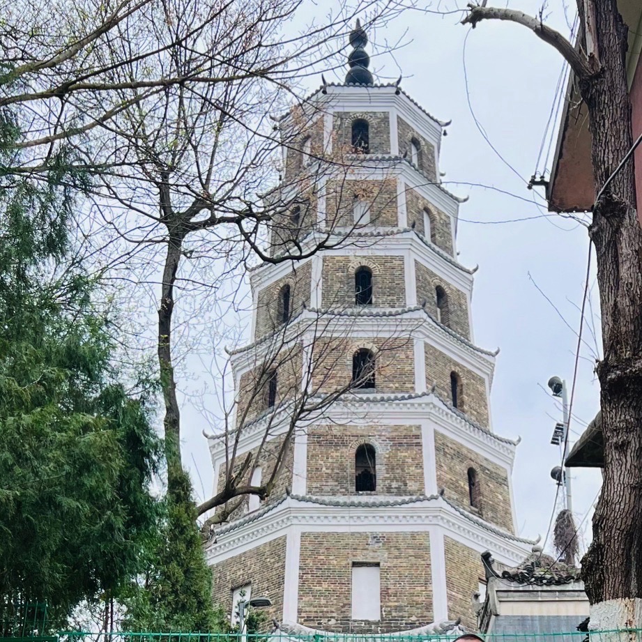 东塔公园旅行图片 1