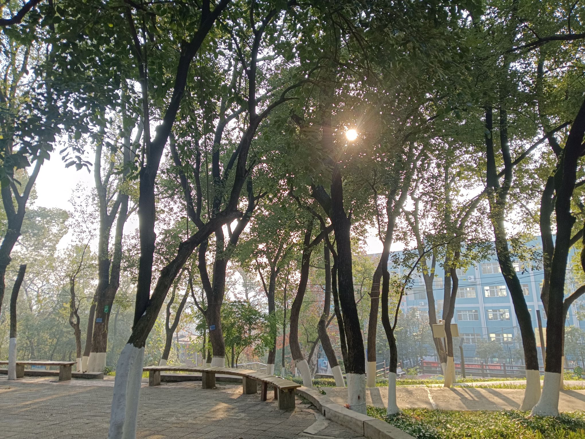 东塔公园旅行图片 3