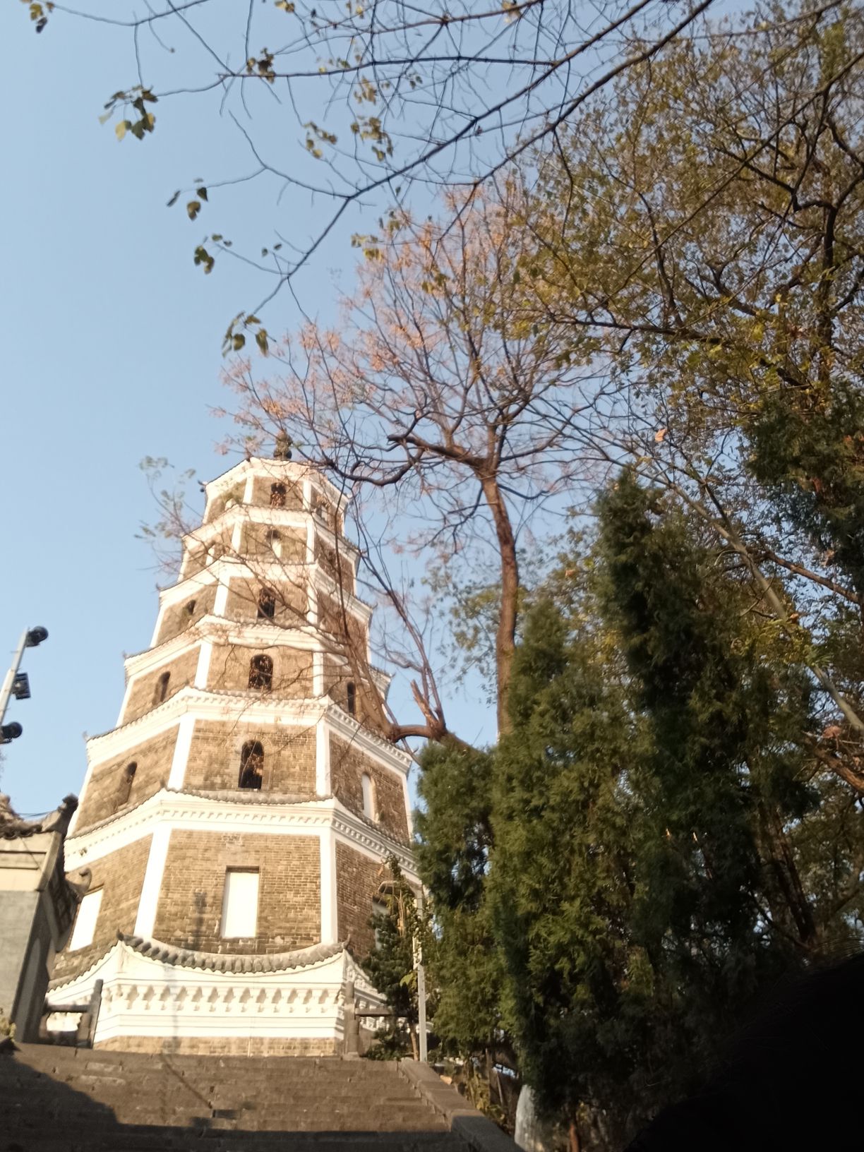 东塔公园旅行图片 2