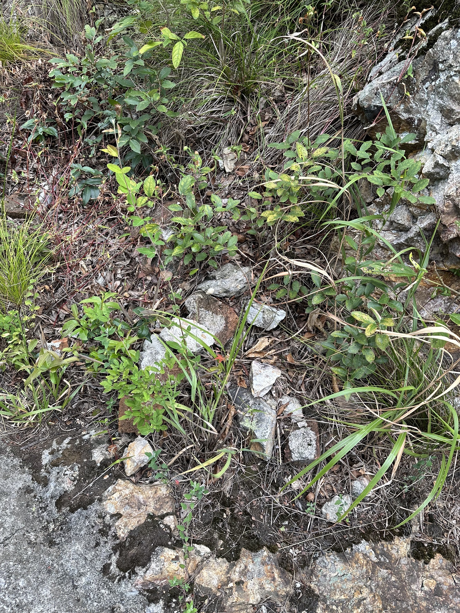 白云岩景区旅行图片 3