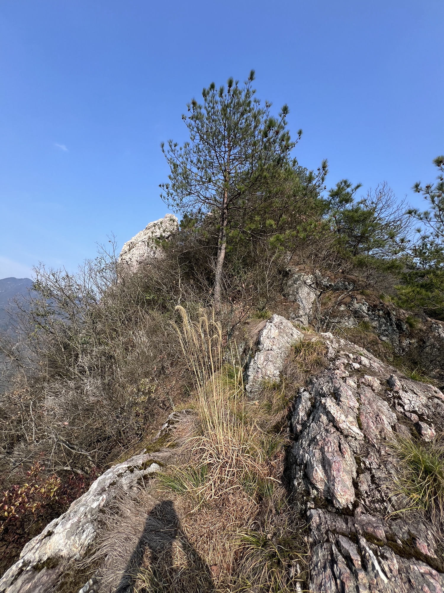 白云岩景区旅行图片 3