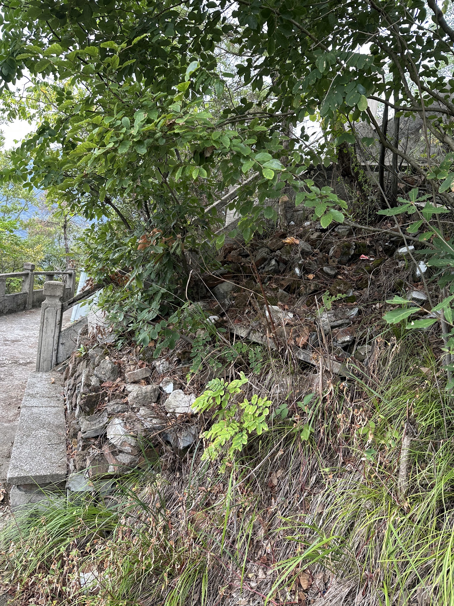 白云岩景区旅行图片 1