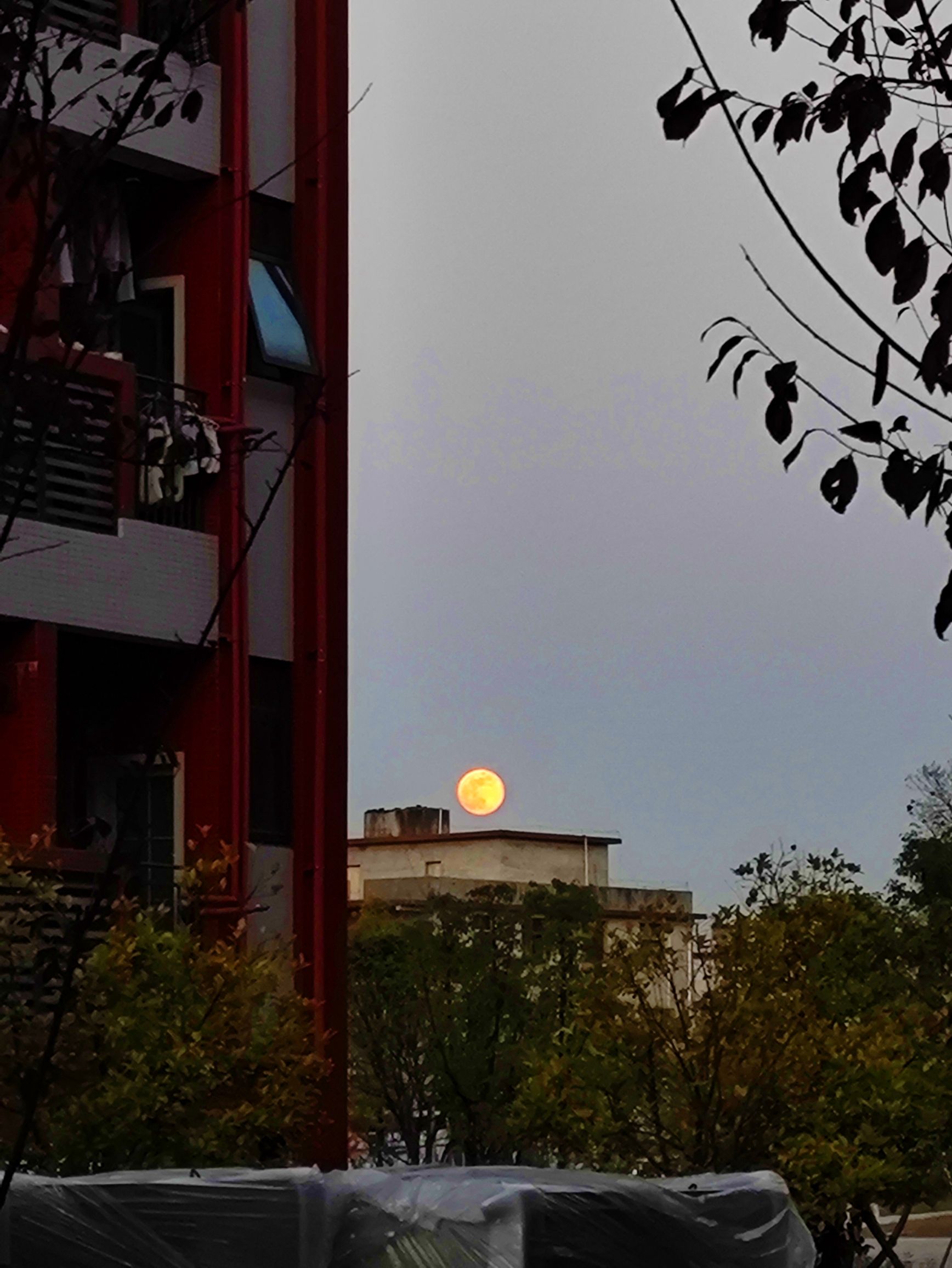北塔旅行图片 3