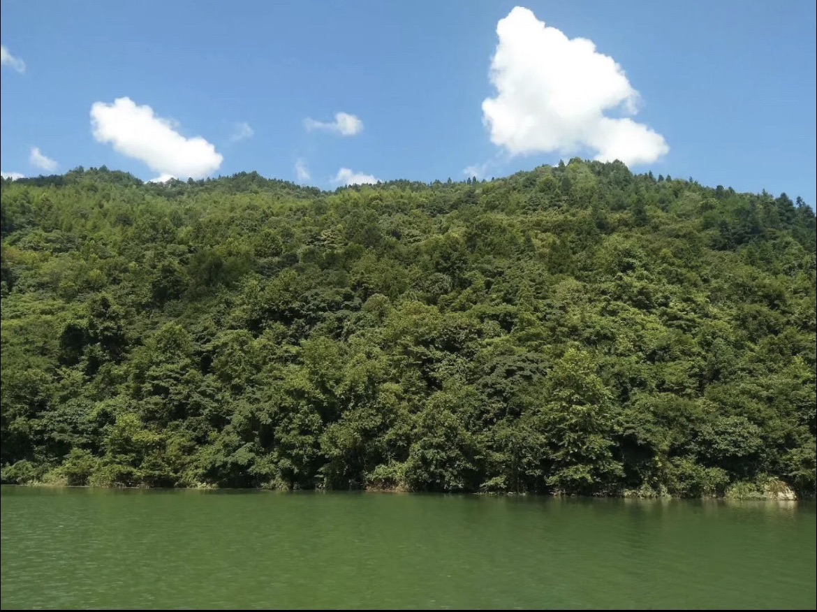 白云湖旅行图片 2