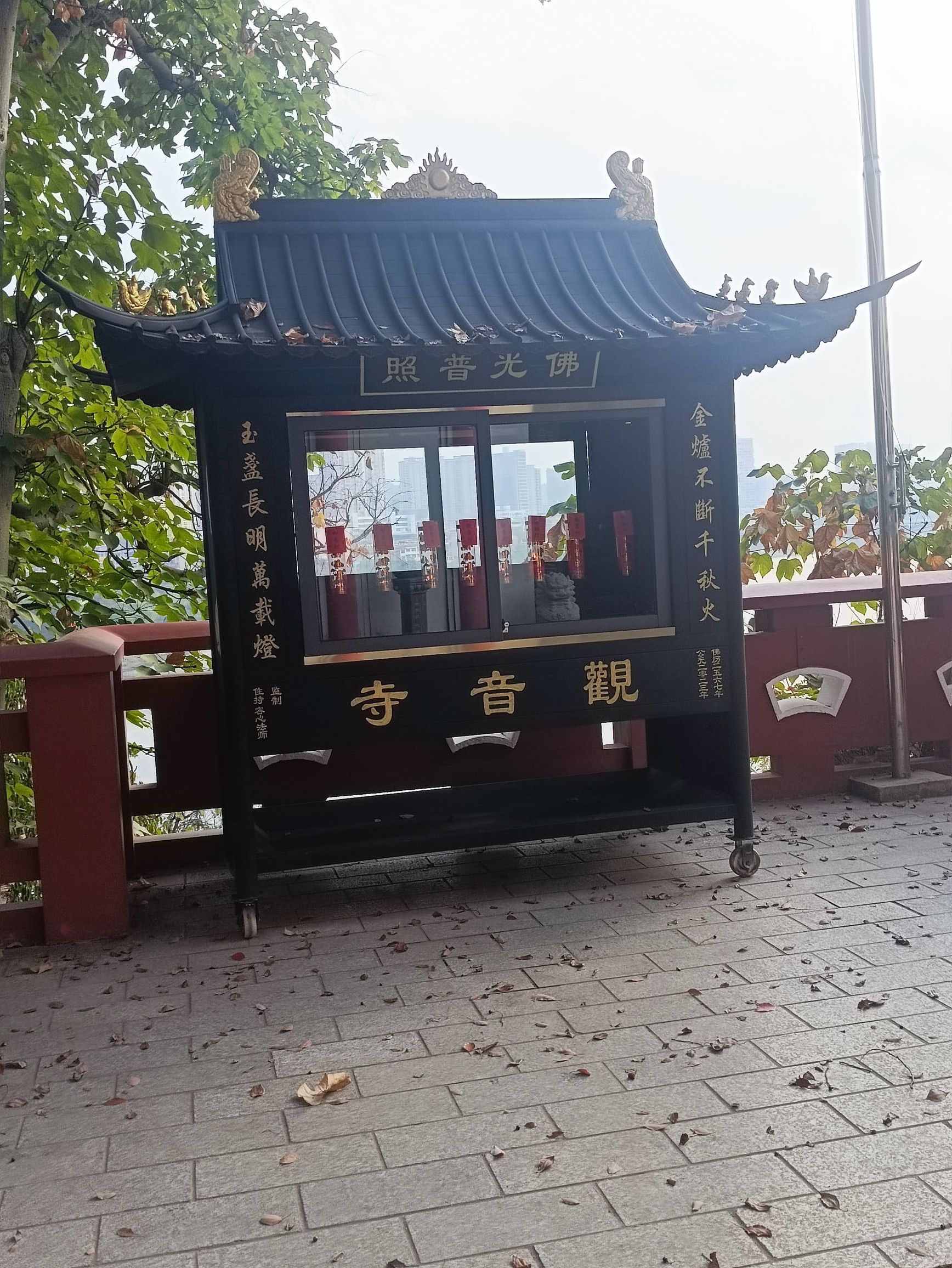 双清公园旅行图片 2