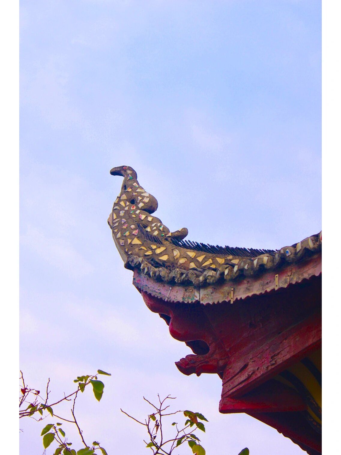 双清公园旅行图片 2