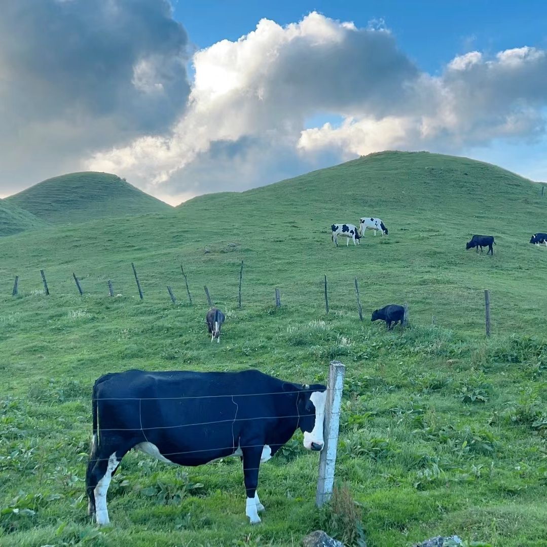 邵阳南山牧场旅行图片 2