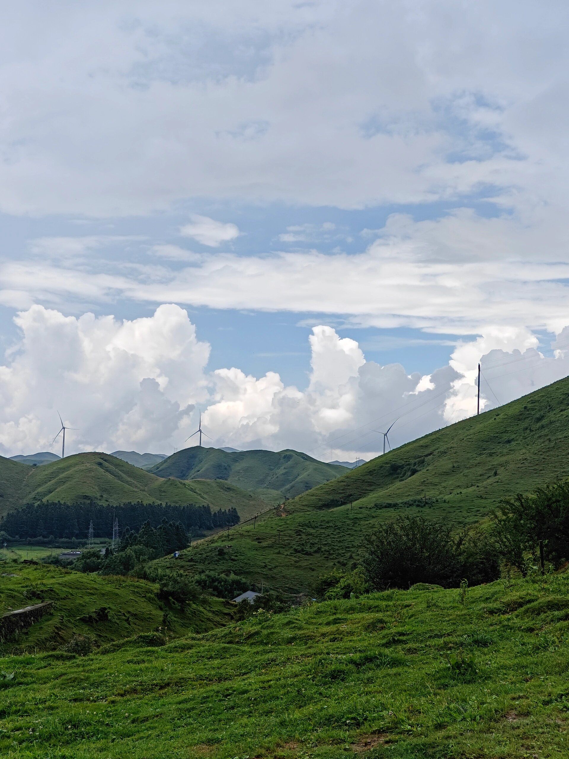 邵阳南山牧场旅行图片 1