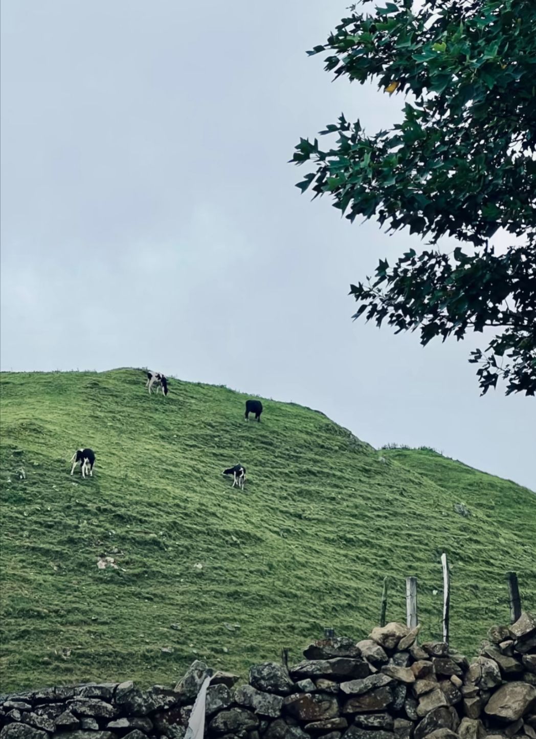 南山风景名胜区旅行图片 2