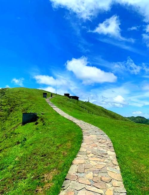 南山风景名胜区旅行图片 3
