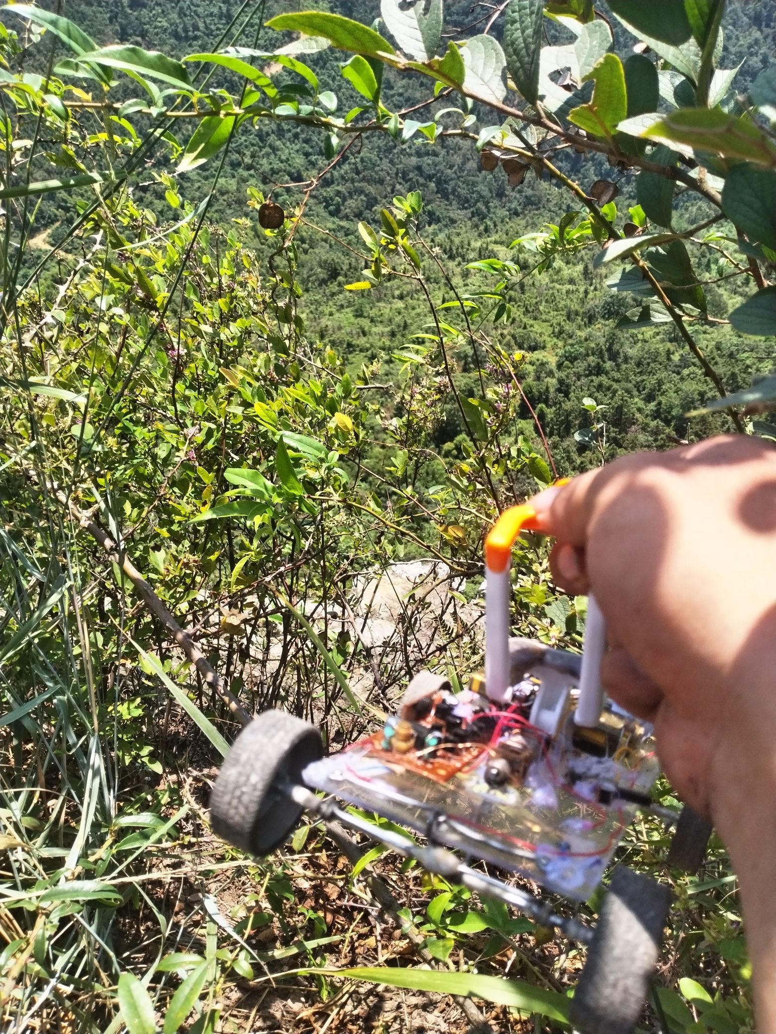 佘湖山生态旅游公园旅行图片 3