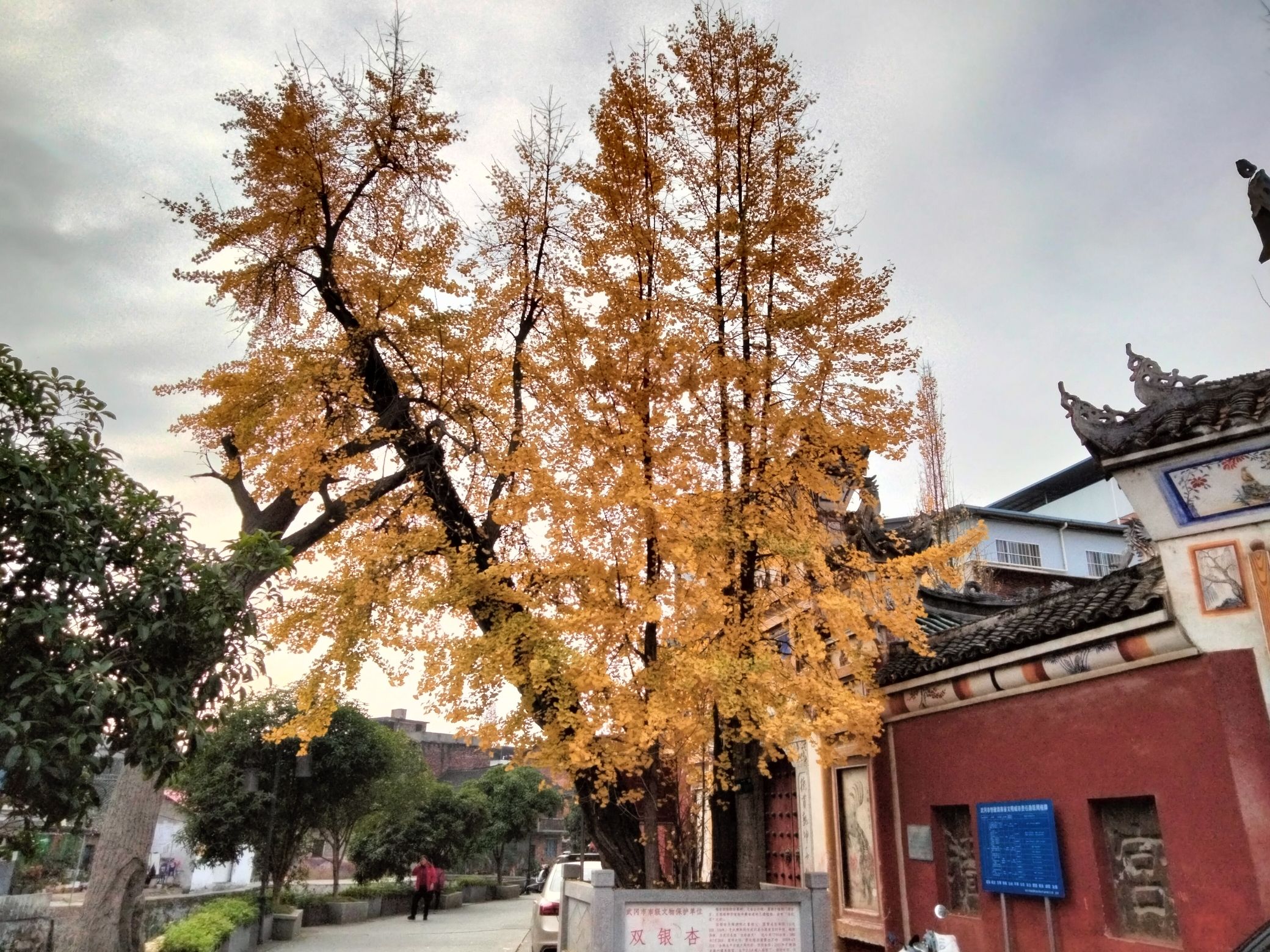宣风楼旅行图片 3