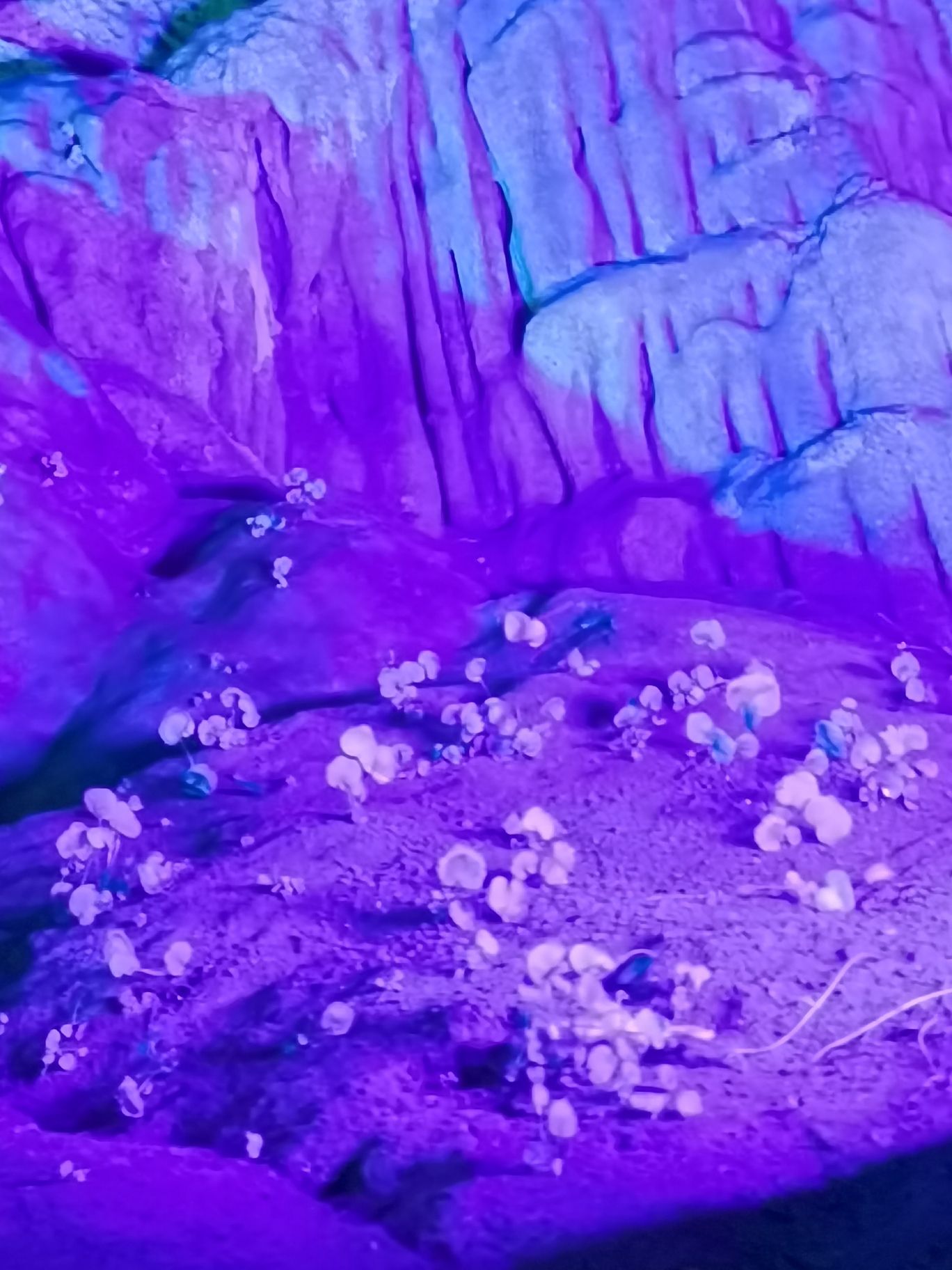 玉女岩景区旅行图片 2