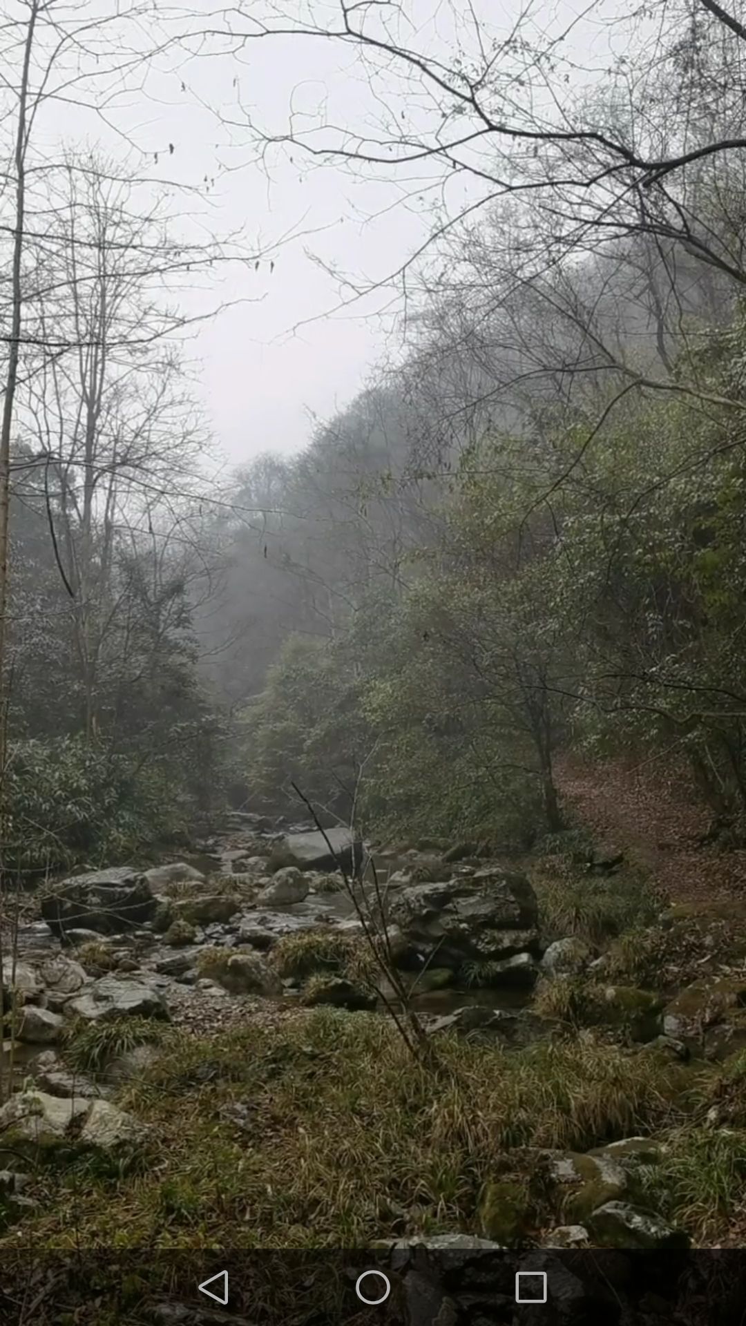 邵阳沙角洞银杉森林公园旅行图片 3