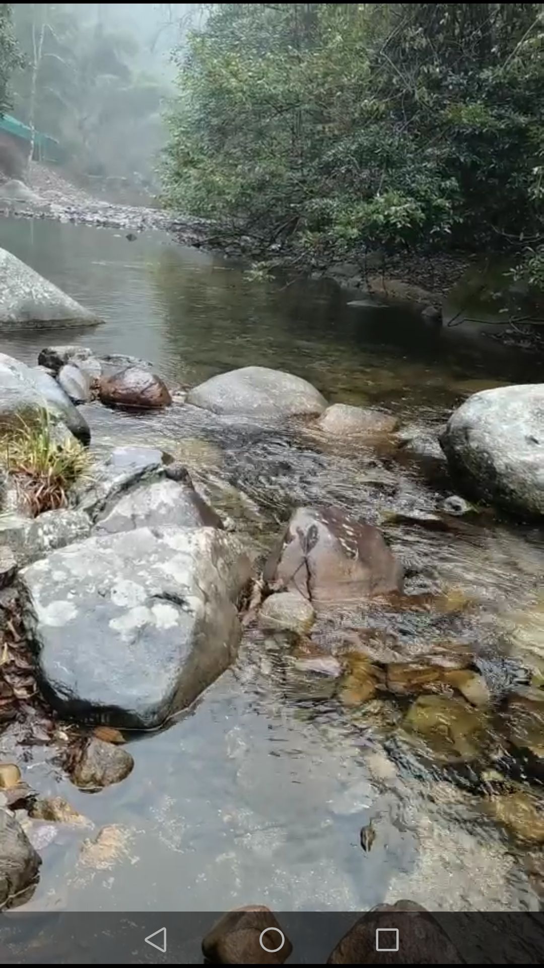 邵阳沙角洞银杉森林公园旅行图片 2