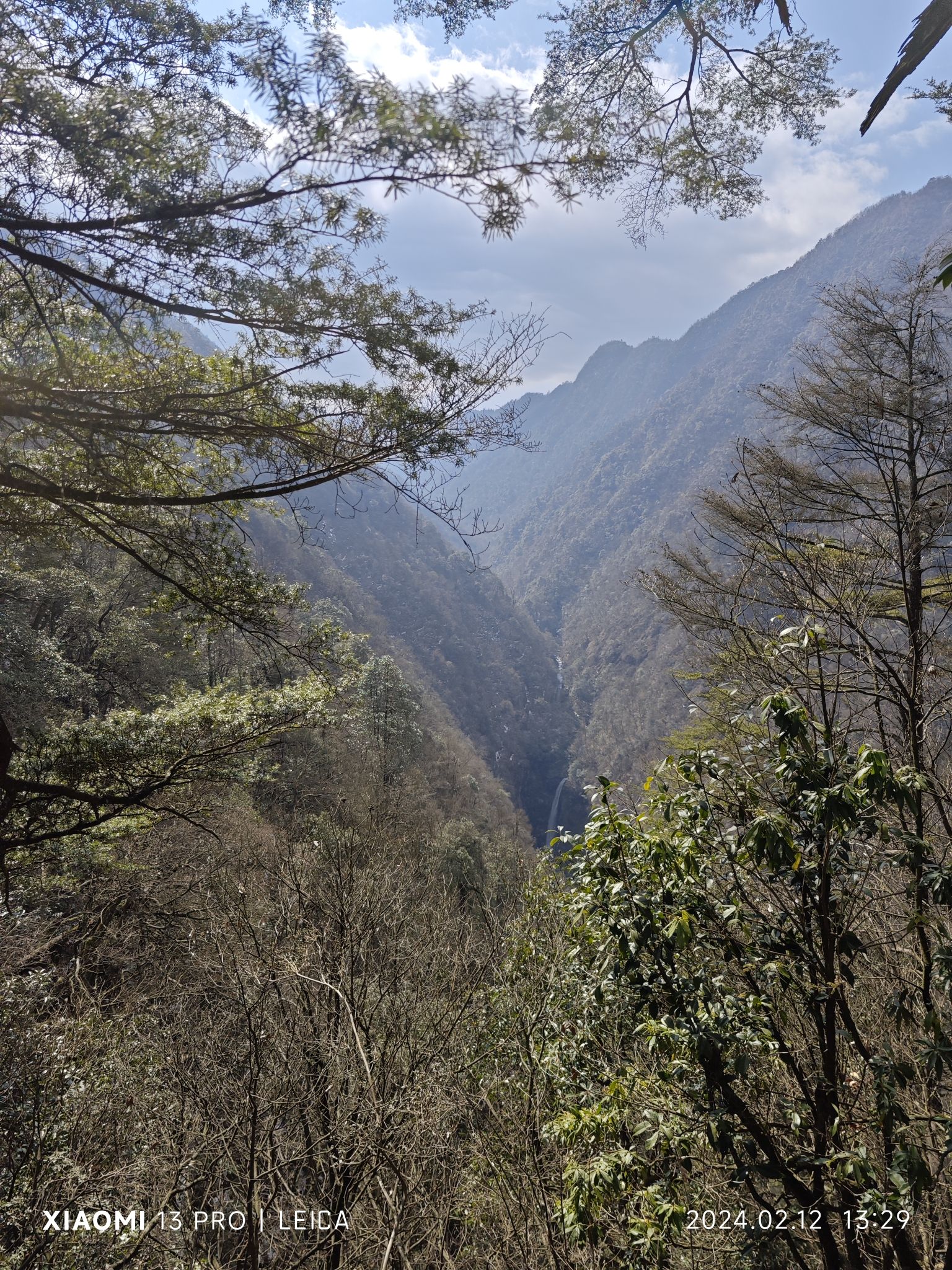 邵阳沙角洞银杉森林公园旅行图片 3