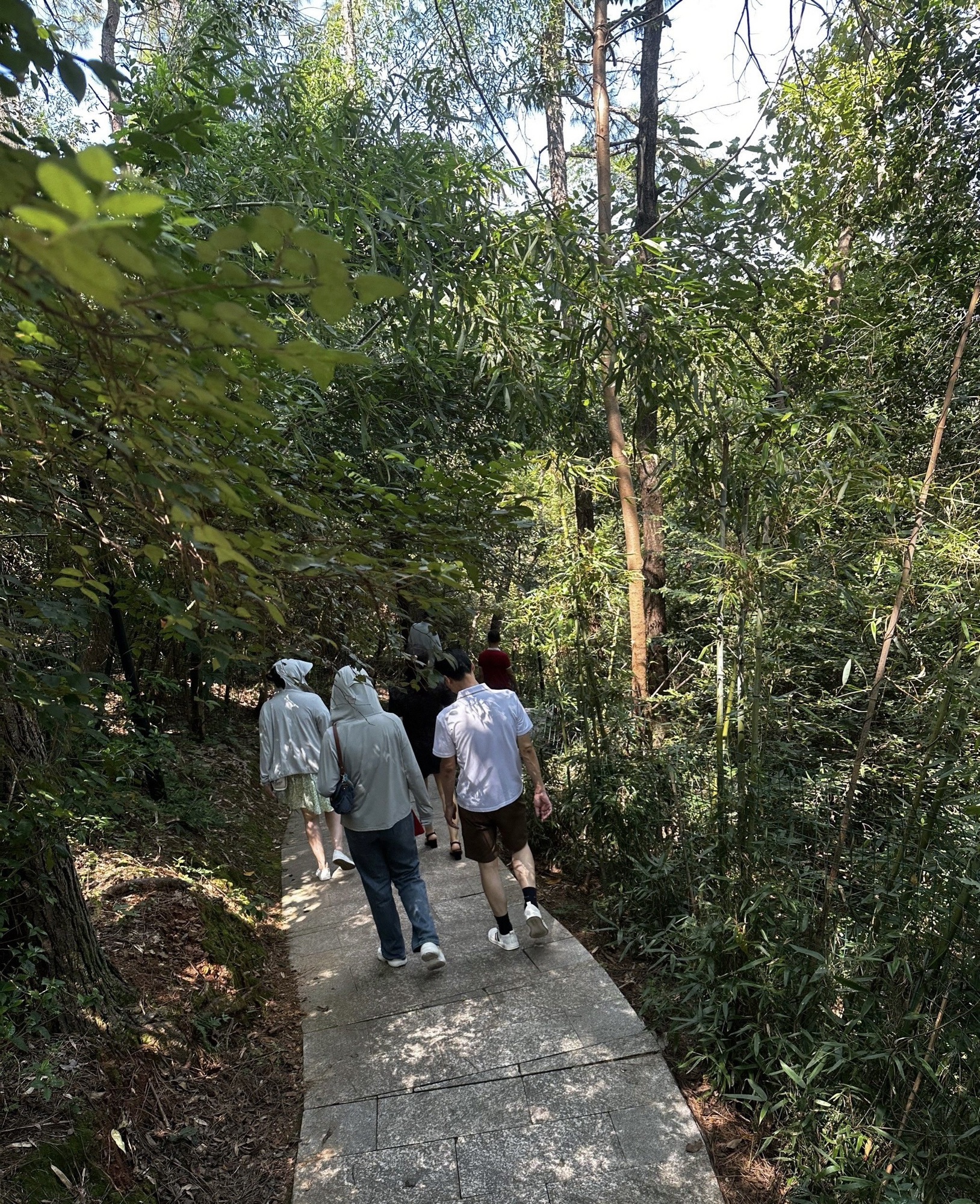 昭阳公园旅行图片 2