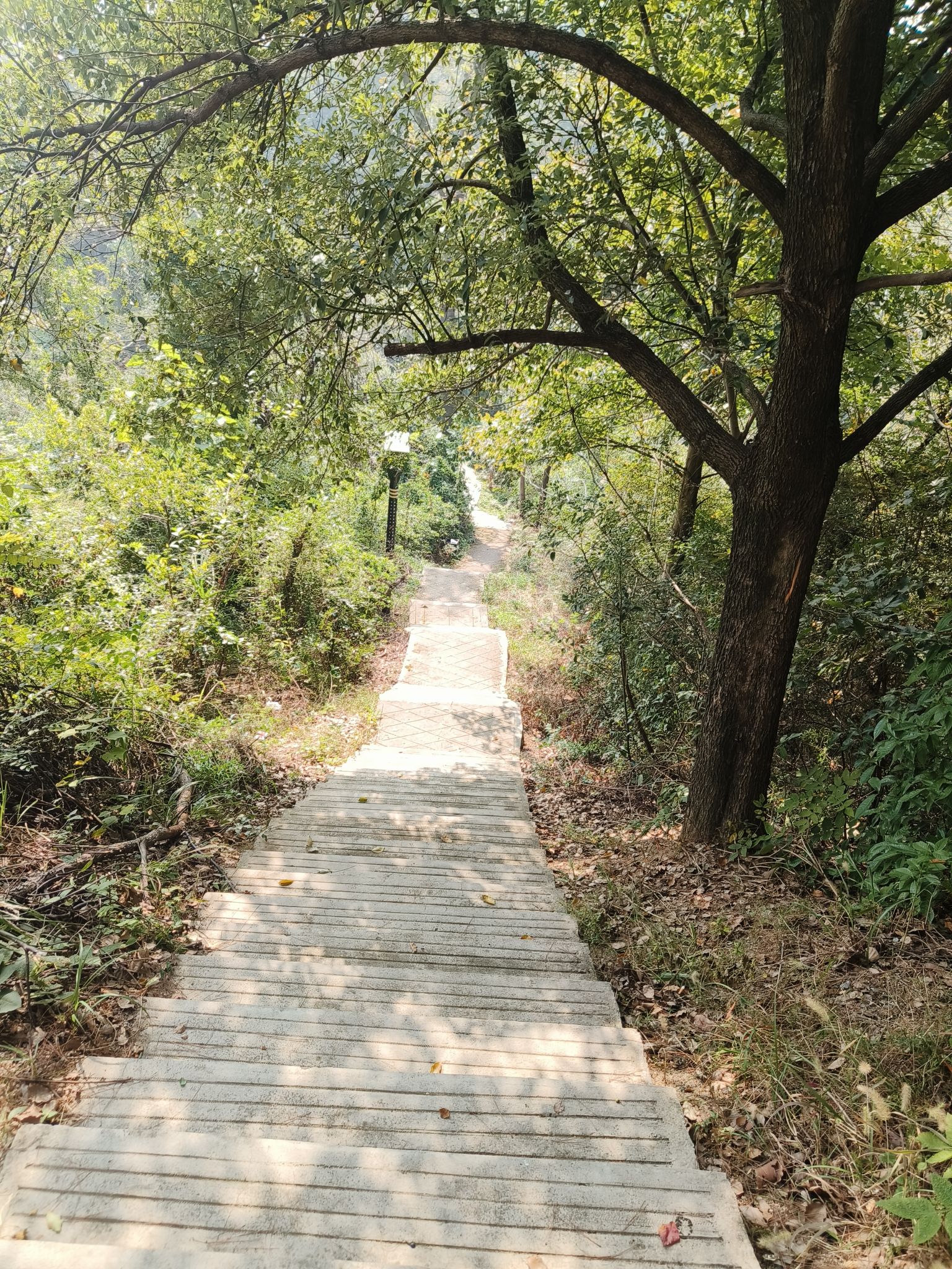 昭阳公园旅行图片 3