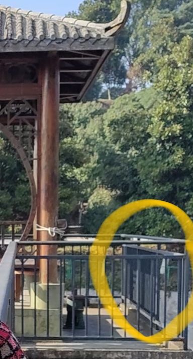 东方新绿洲北塔生态园旅行图片 2