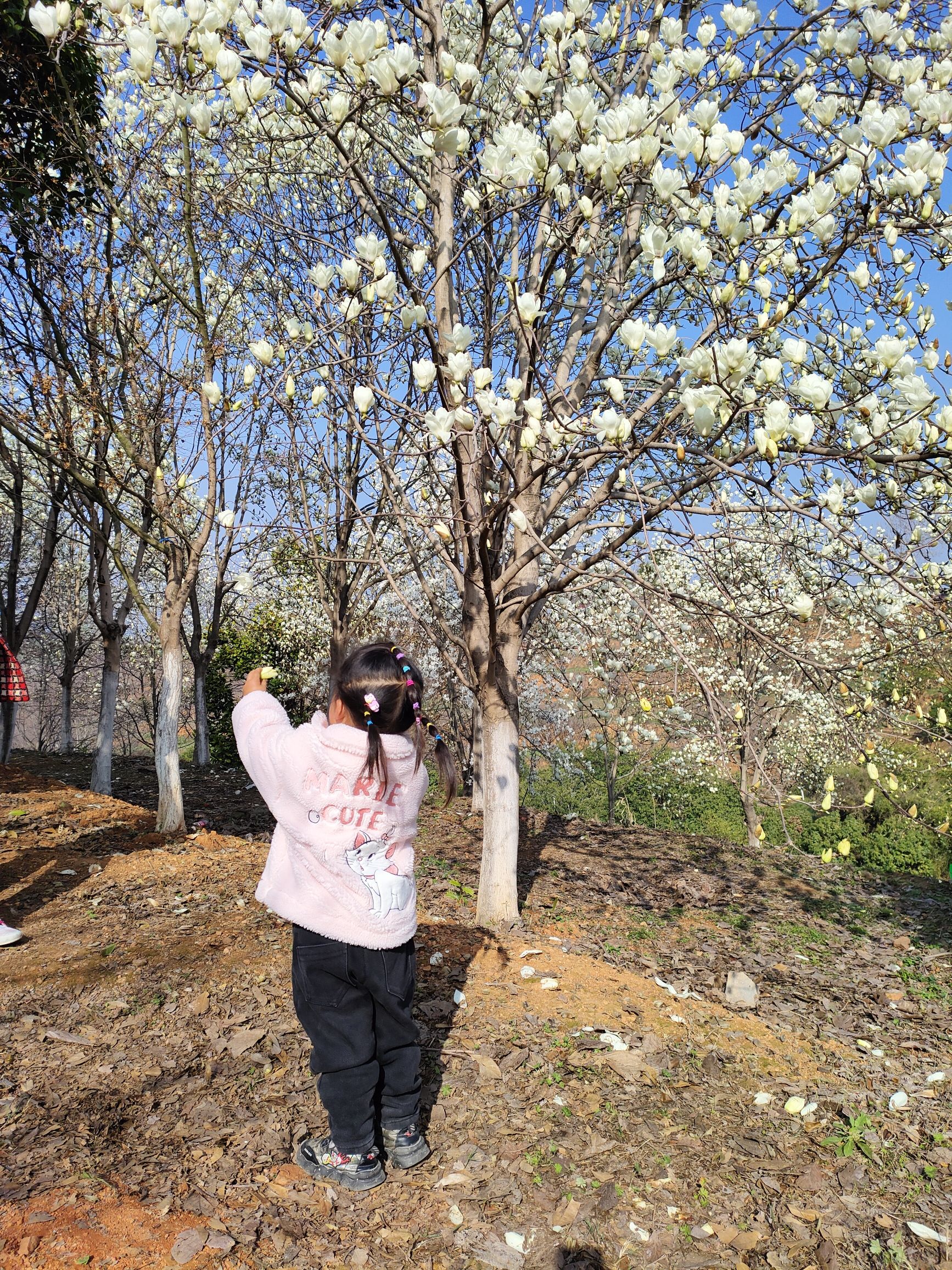 东方新绿洲北塔生态园旅行图片 3