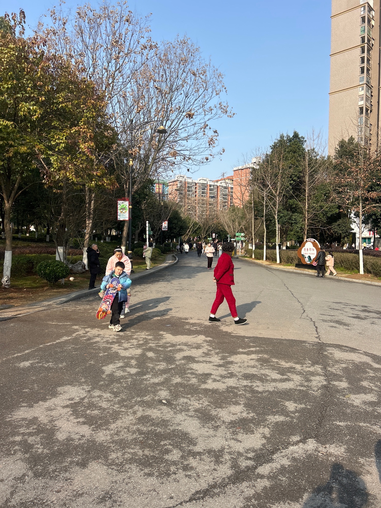 西苑公园旅行图片 3