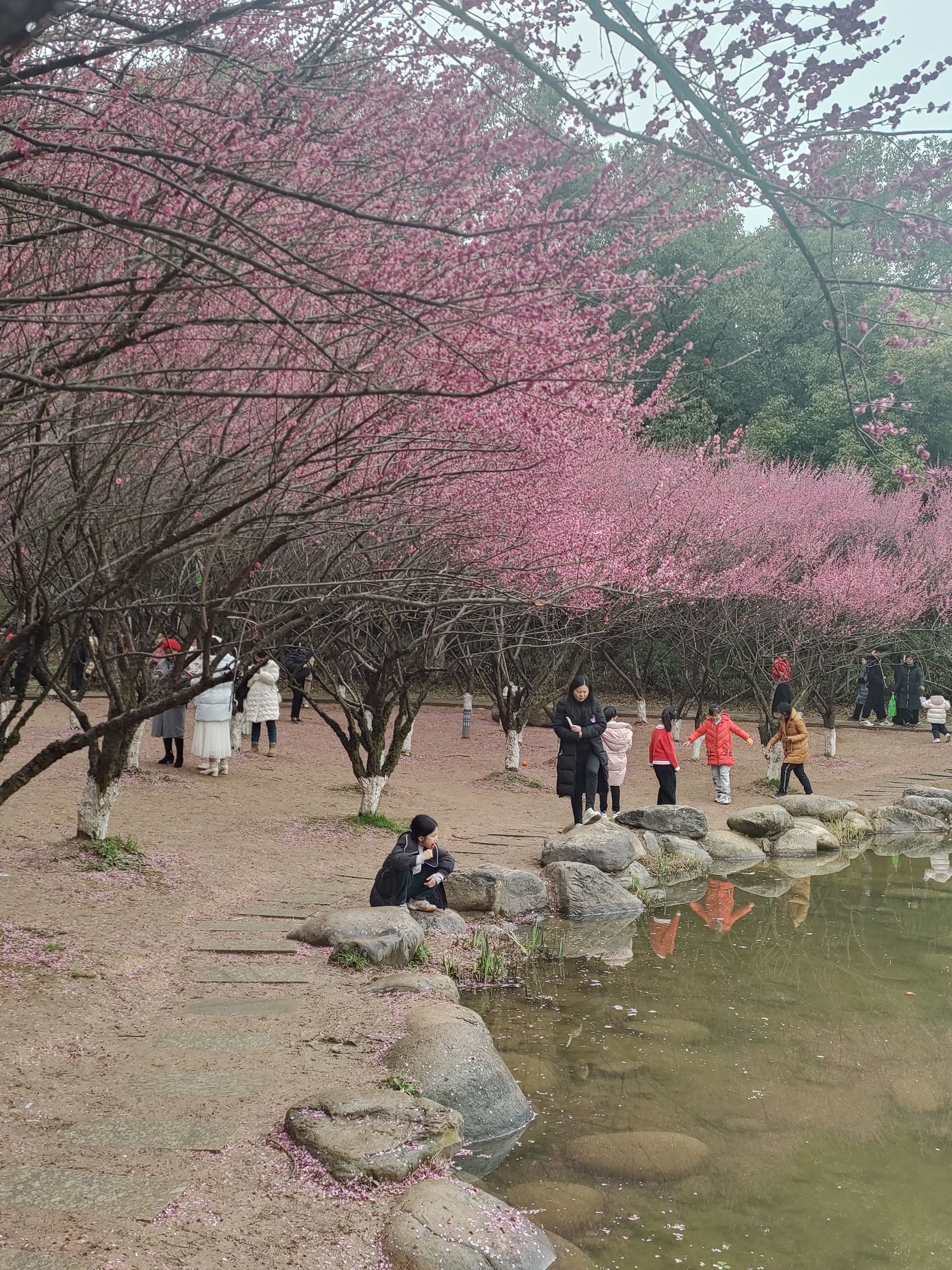 西苑公园旅行图片 2