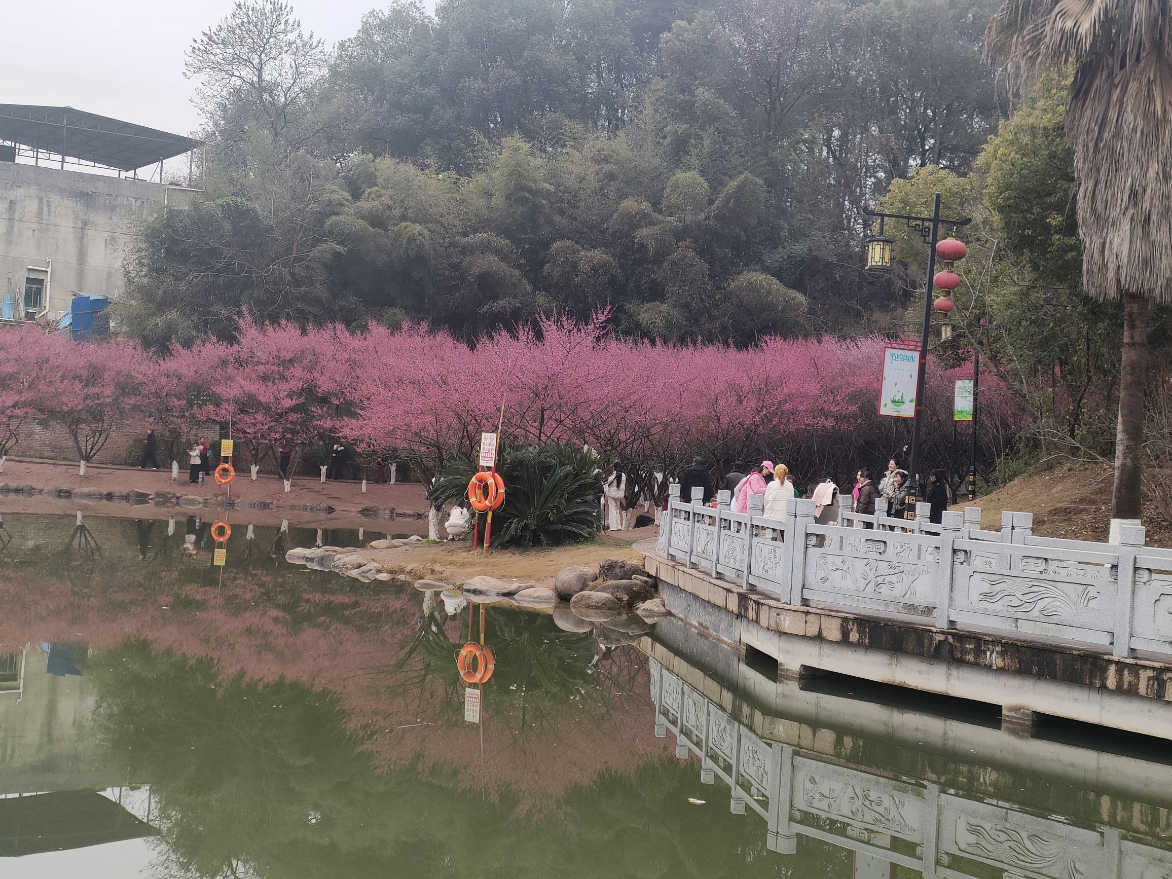 西苑公园旅行图片 3