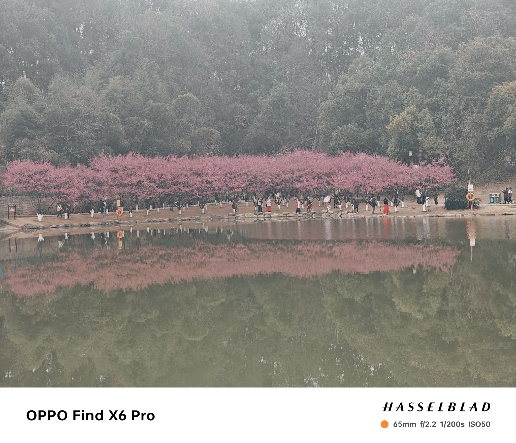 西苑公园旅行图片 3