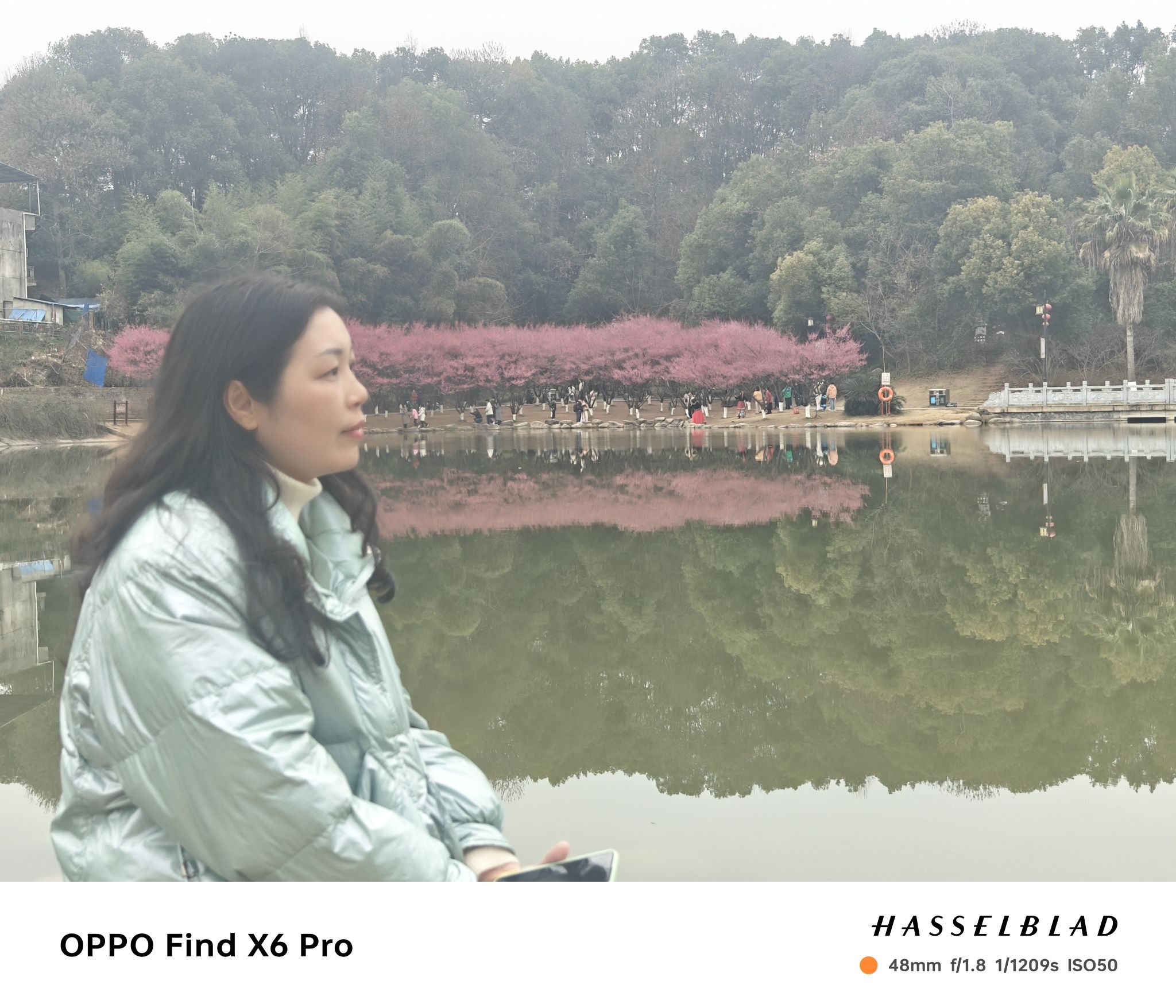 西苑公园旅行图片 2