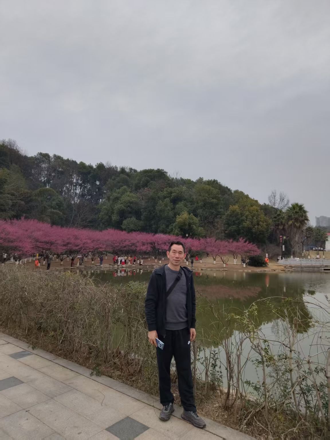 西苑公园旅行图片 1