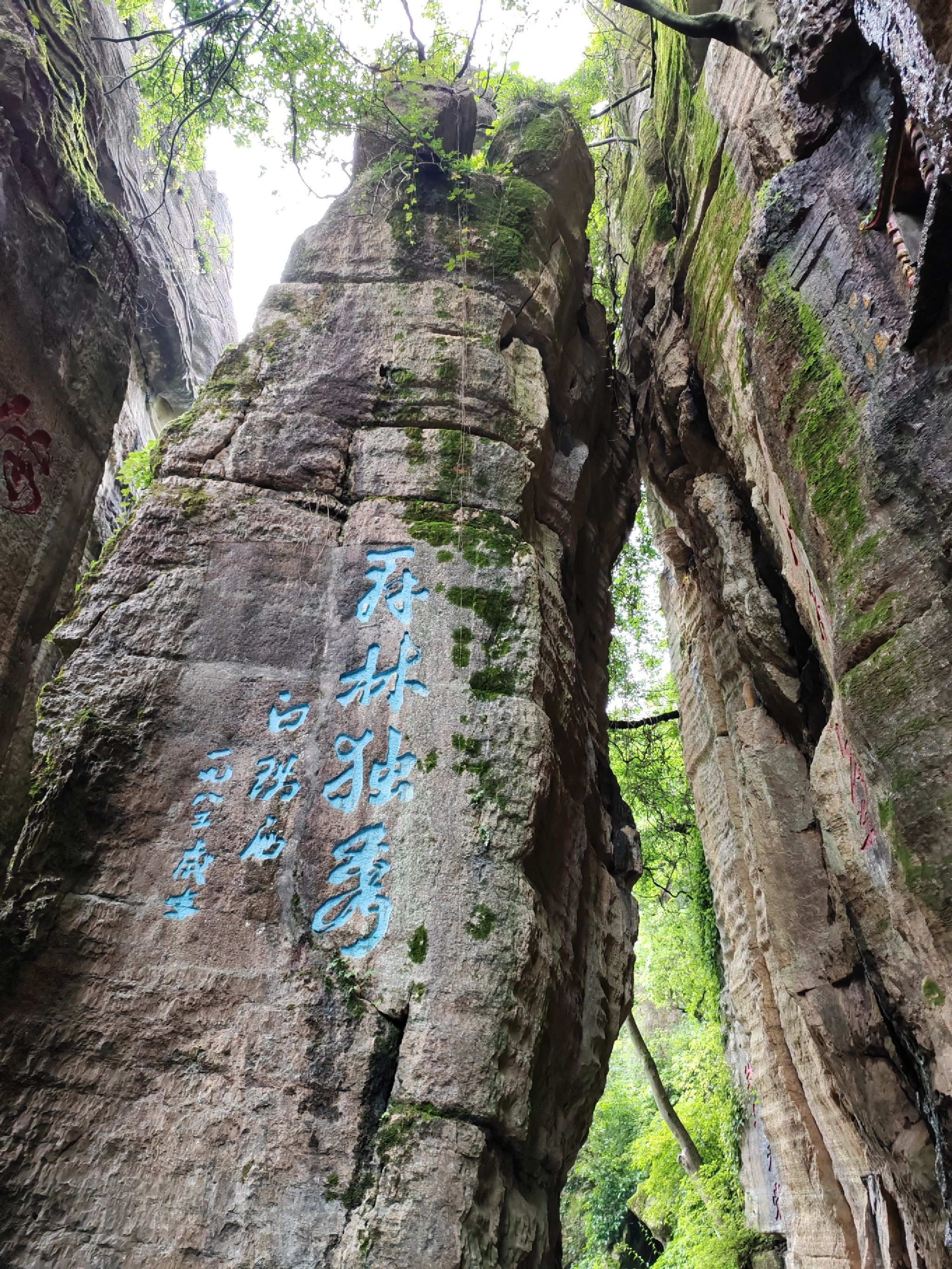 不二门国家森林公园旅行图片 1