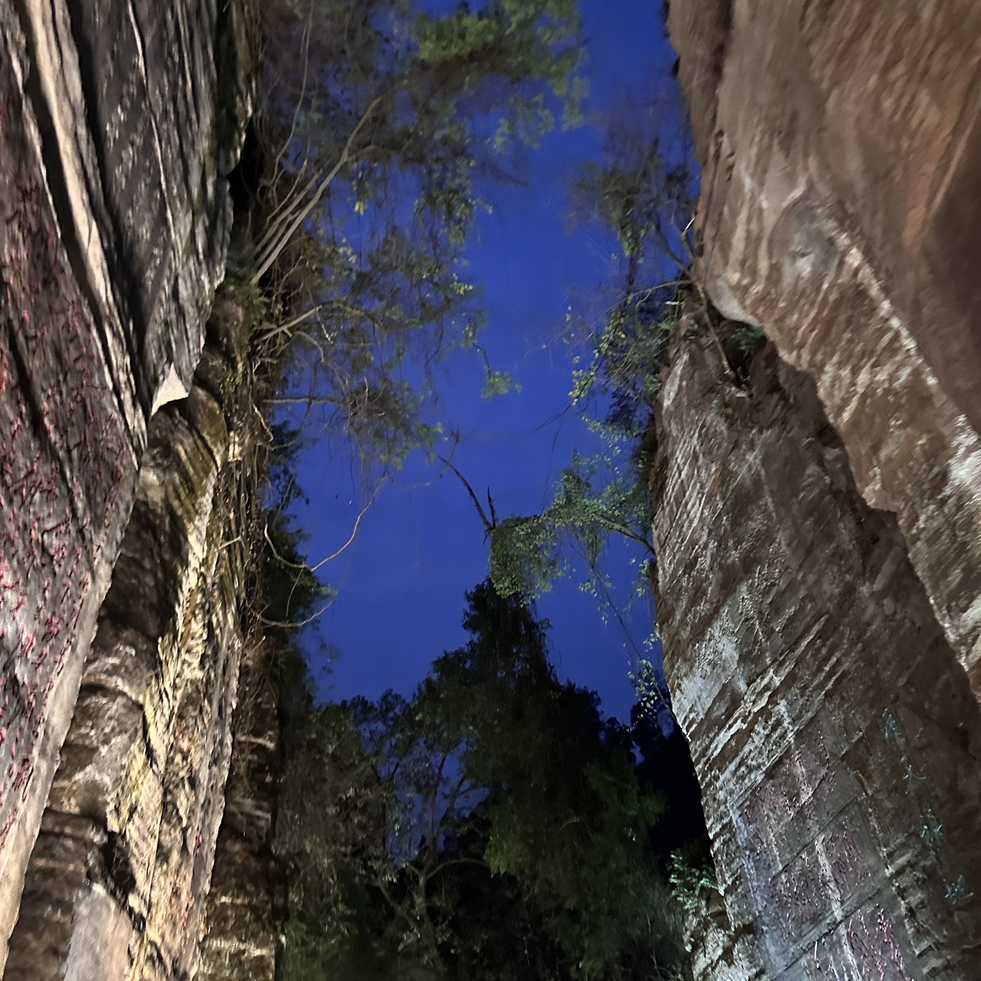 不二门国家森林公园旅行图片 2